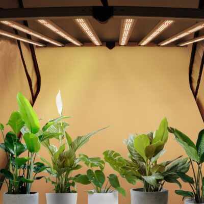 LED Grow Light category