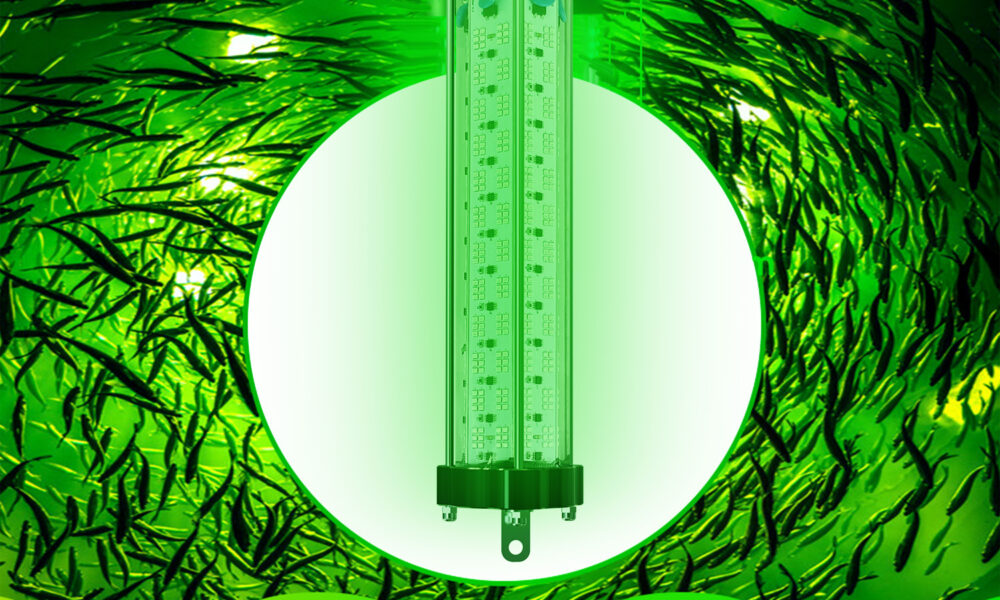 500W LED Fishing Light EFL-5GA12-01