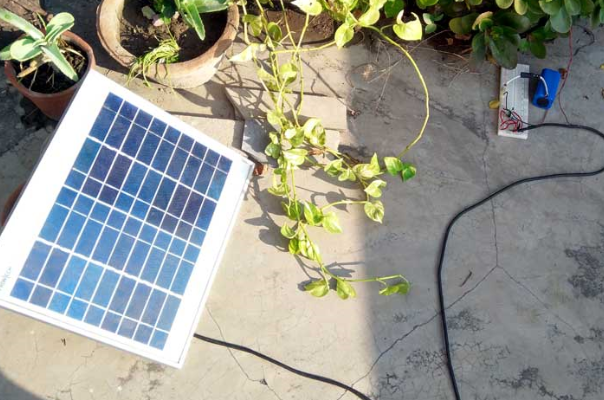 solar led garden lights